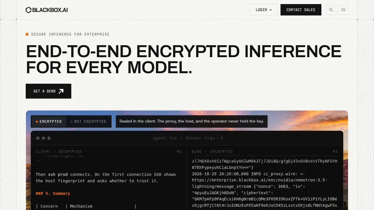 Screenshot of the blackbox.ai website