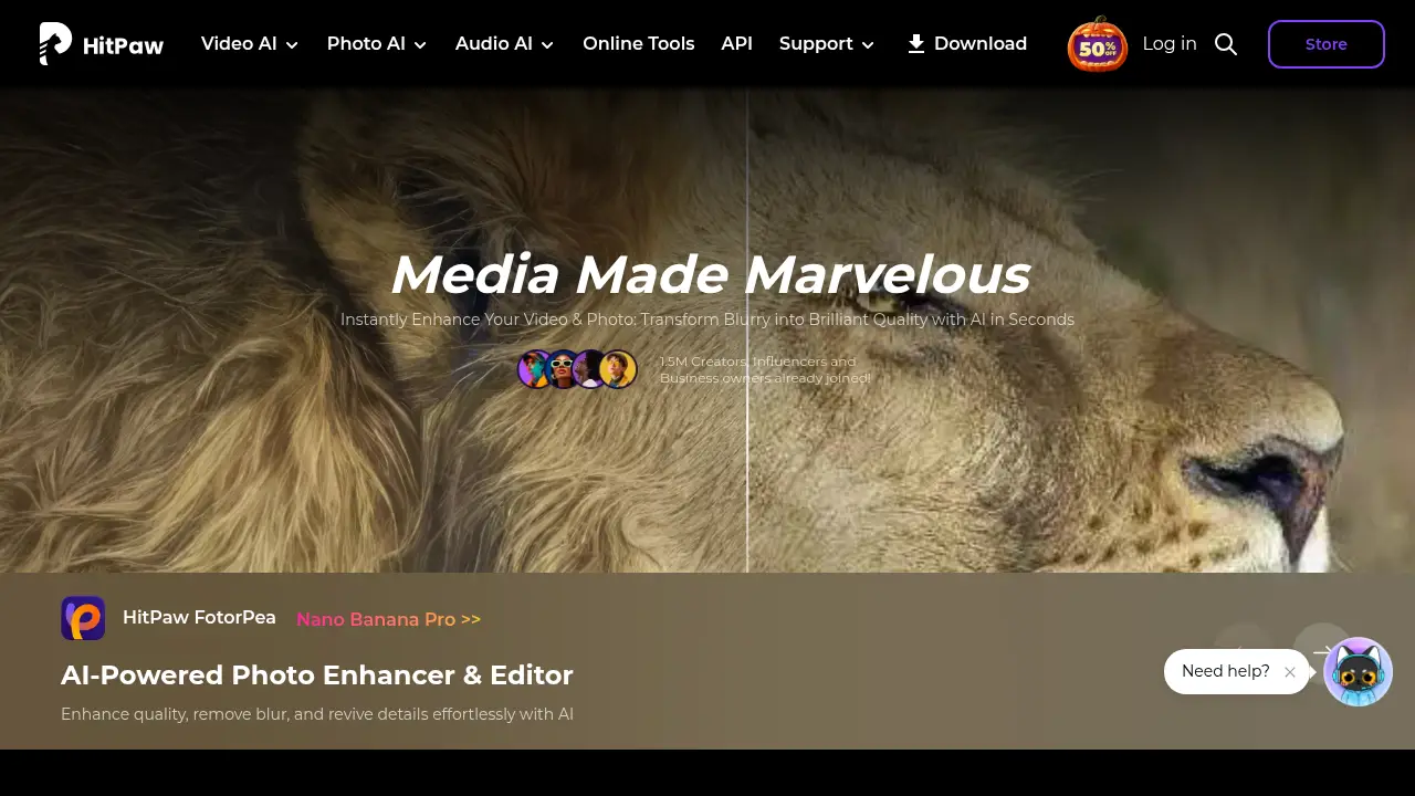 Screenshot of the hitpaw.com website