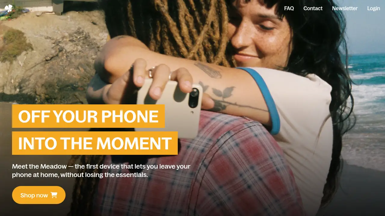 Screenshot of the meadow.so website